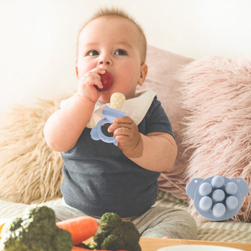 Grignoteuse bébé Koala bleu