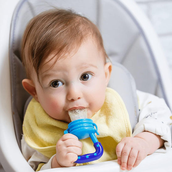Grignoteuse bébé alimentaire bleu