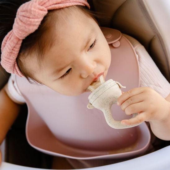 Grignoteuse bébé fruits ergonomiques