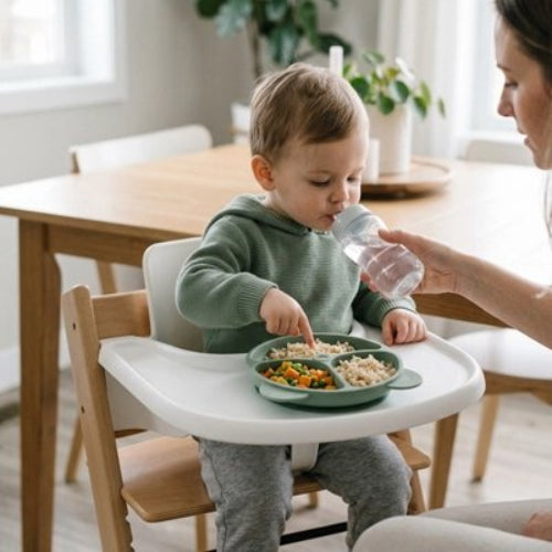 Assiette bébé ventouse anti renversement vert
