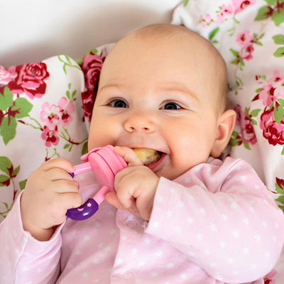 Grignoteuse bébé alimentaire rose