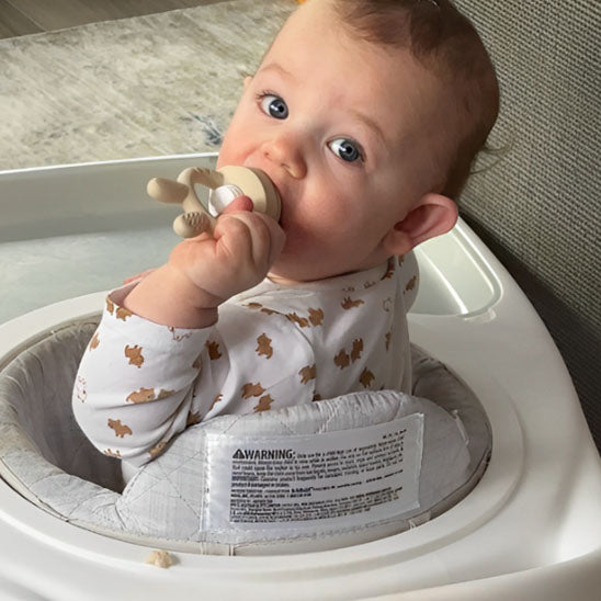 Grignoteuse bébé lapin mange bien