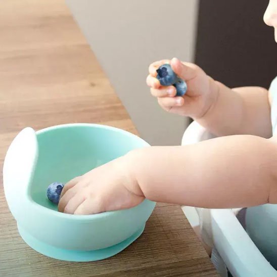 Assiette bébé avec bleuet dans bol vert