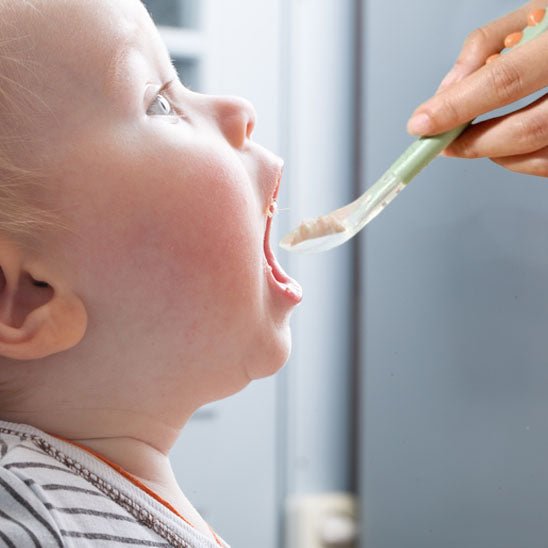 Cuillère pour Bébé pratique vert