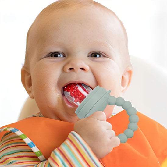 grignoteuse bebe muticolore